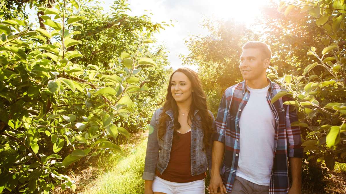 Summerland O6 A2186 Finals