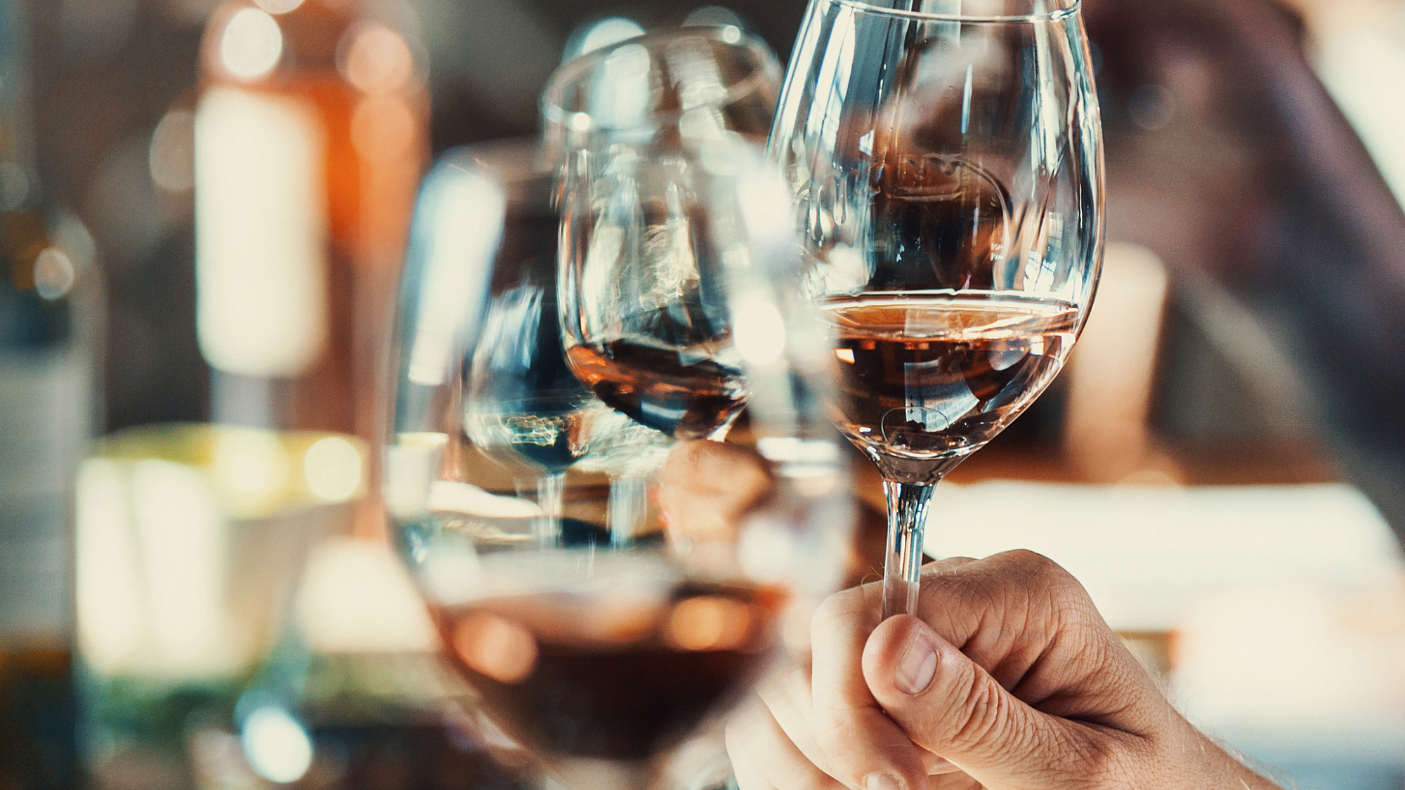 Close-up of guests clinking wine glasses at a tasting.