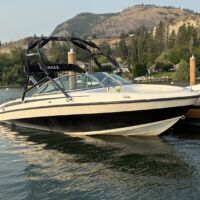 Reinell power boat parked at the dock