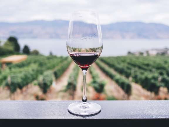 Glass of red wine on balcony railing with a vineyard and Okanagan Lake behind it.