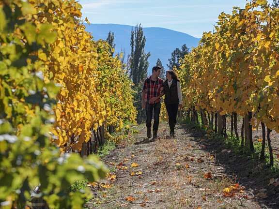 Couple walking among apple orchard in Summerland, BC, Okanagan