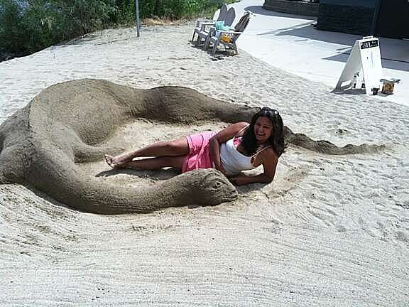 Ogopogo Sand Castle