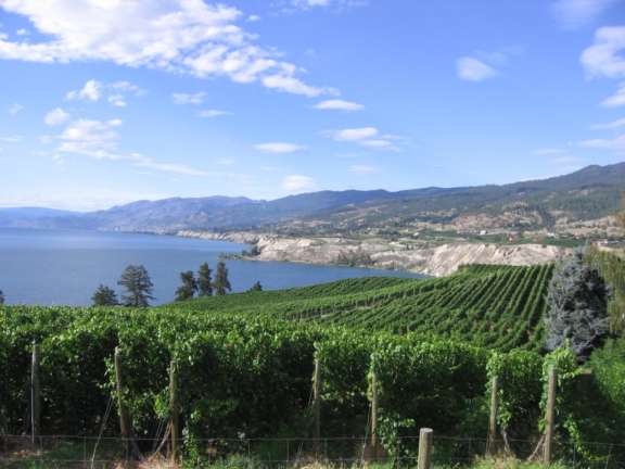 Scenic View Of Vineyards Lake 1024X768