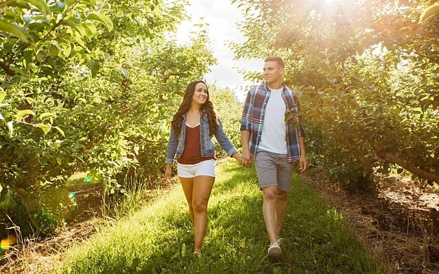 Couple Apple Orchard