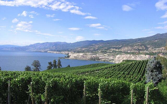 Scenic View Of Vineyards Lake 1024X768