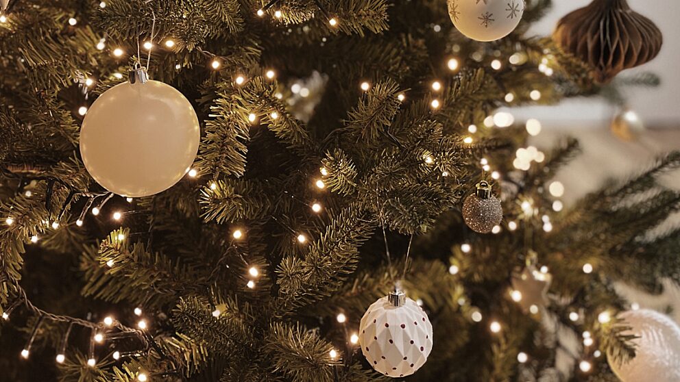 Okanagan Company & Corporate Christmas Parties Summerland