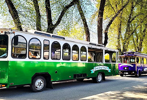 Grape Savvy Trolley Co