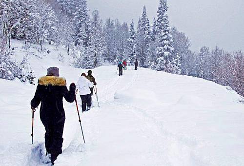 Hoodoo Snowshoe 2