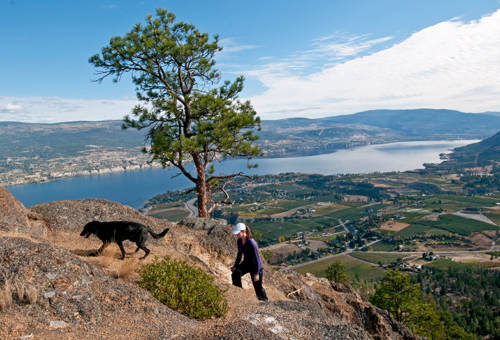 Hiking Giants Head