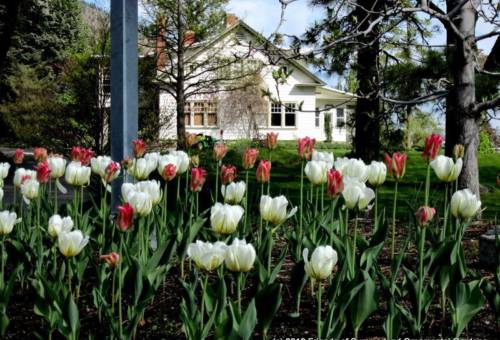 Summerland Ornamental Gardens3