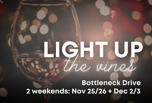 Light Up the Vines Campaign 24 22 in 2
