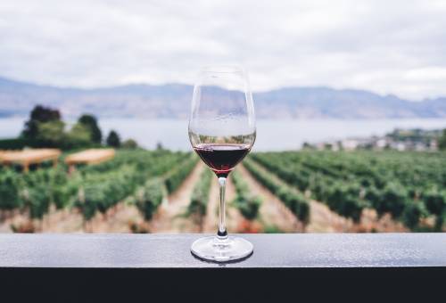 Okanagan Wine