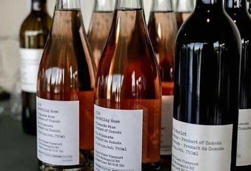 SWR Wine Wednesday Vines Vows