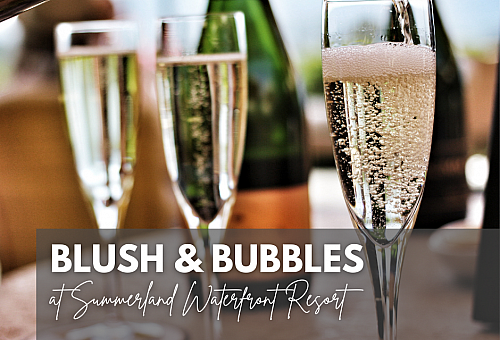 Wine Festival Spring Fling Blush and Bubbles Event Facebook Post