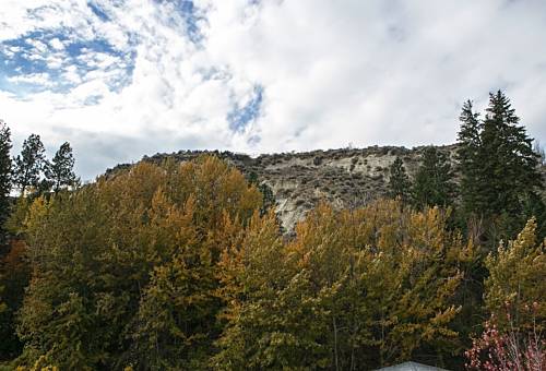 Bluff View